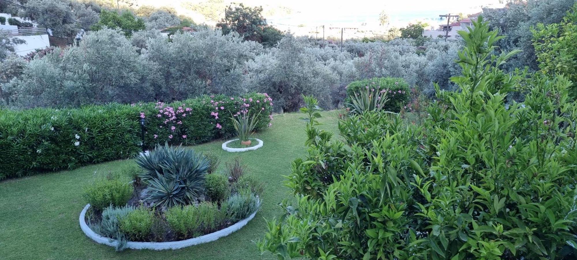Olive Grove Studios Megali Ammos  Exterior photo